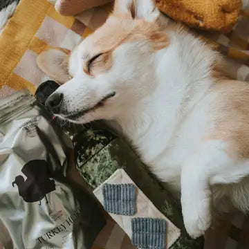 Merlot Bottle Toy - LAMBWOLF COLLECTIVE 