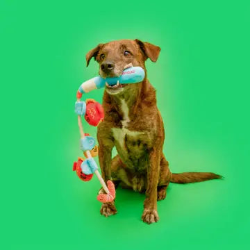 Jouet Canne à pêche - THE FURRYFOLKS