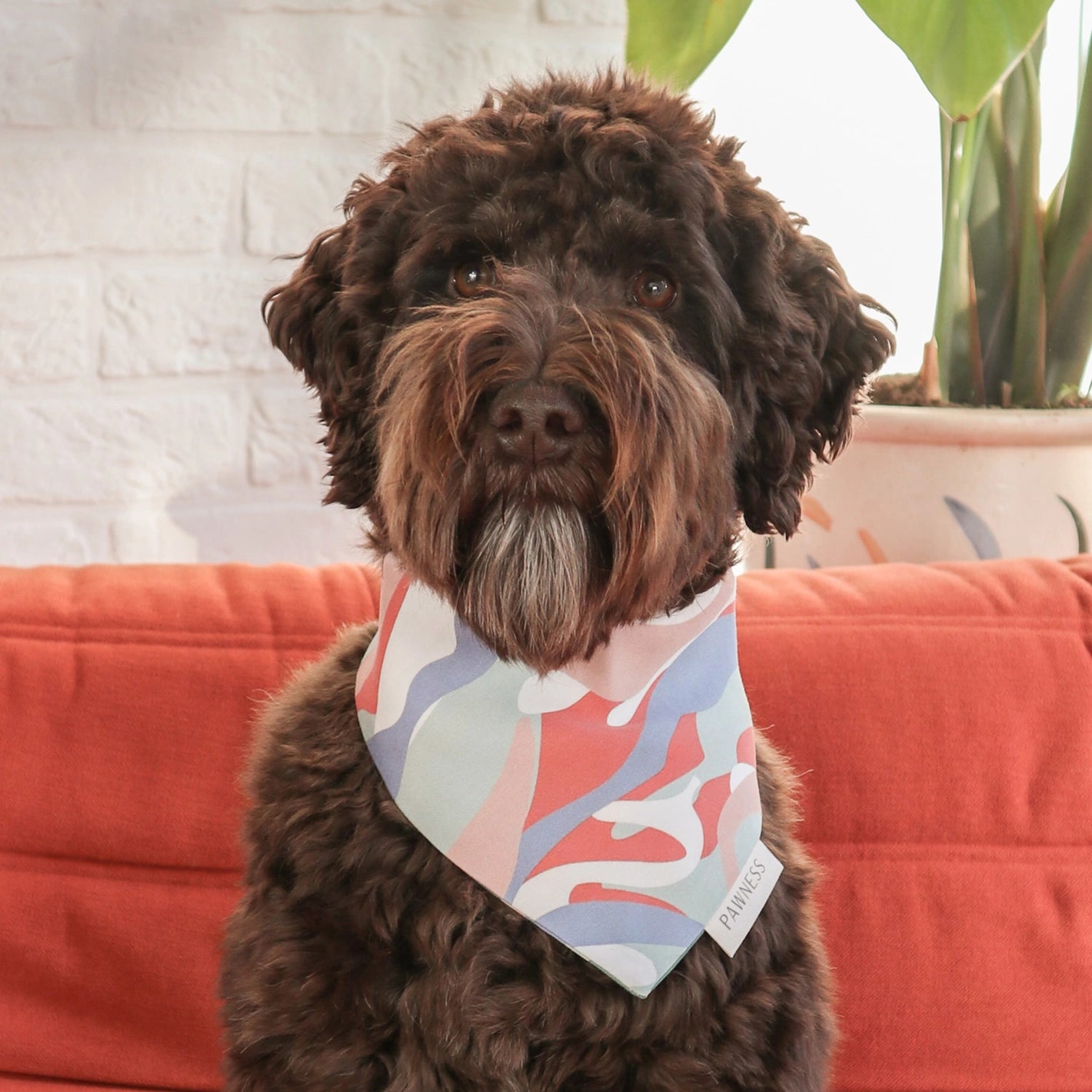 Reversible multicoloured bandana - PAWNESS