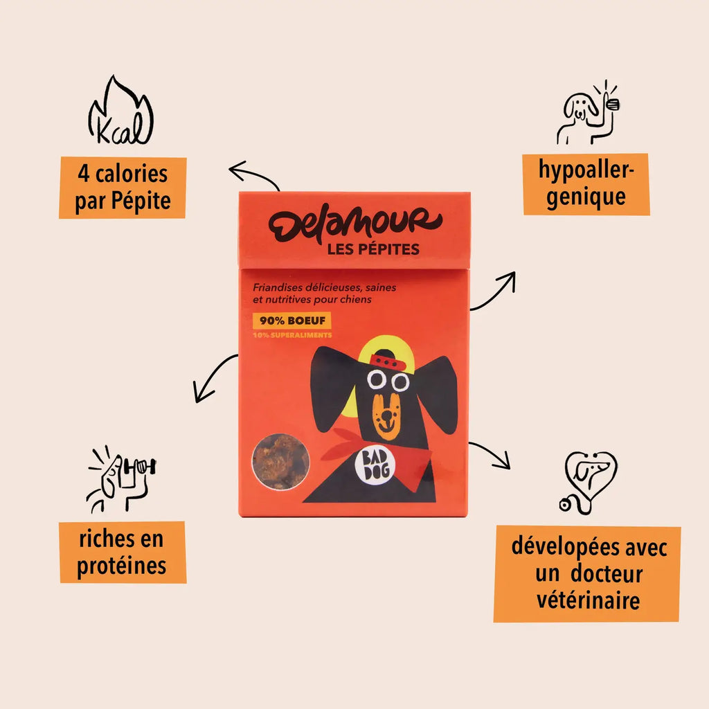 Friandises Les Pépites - Boeuf - DELAMOUR
