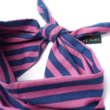 Bandana Pacific Stripe - THE PAWS