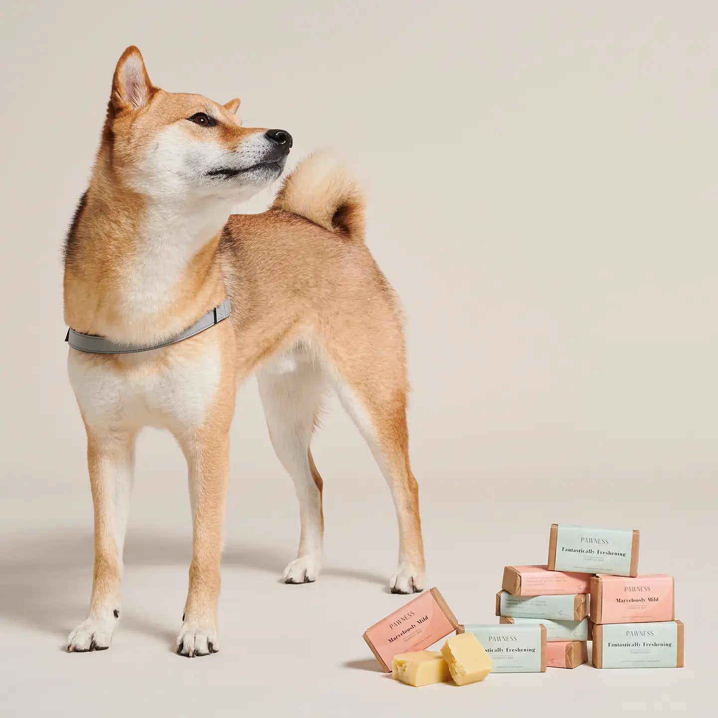 Barre de shampooing Marvelously Mild - PAWNESS