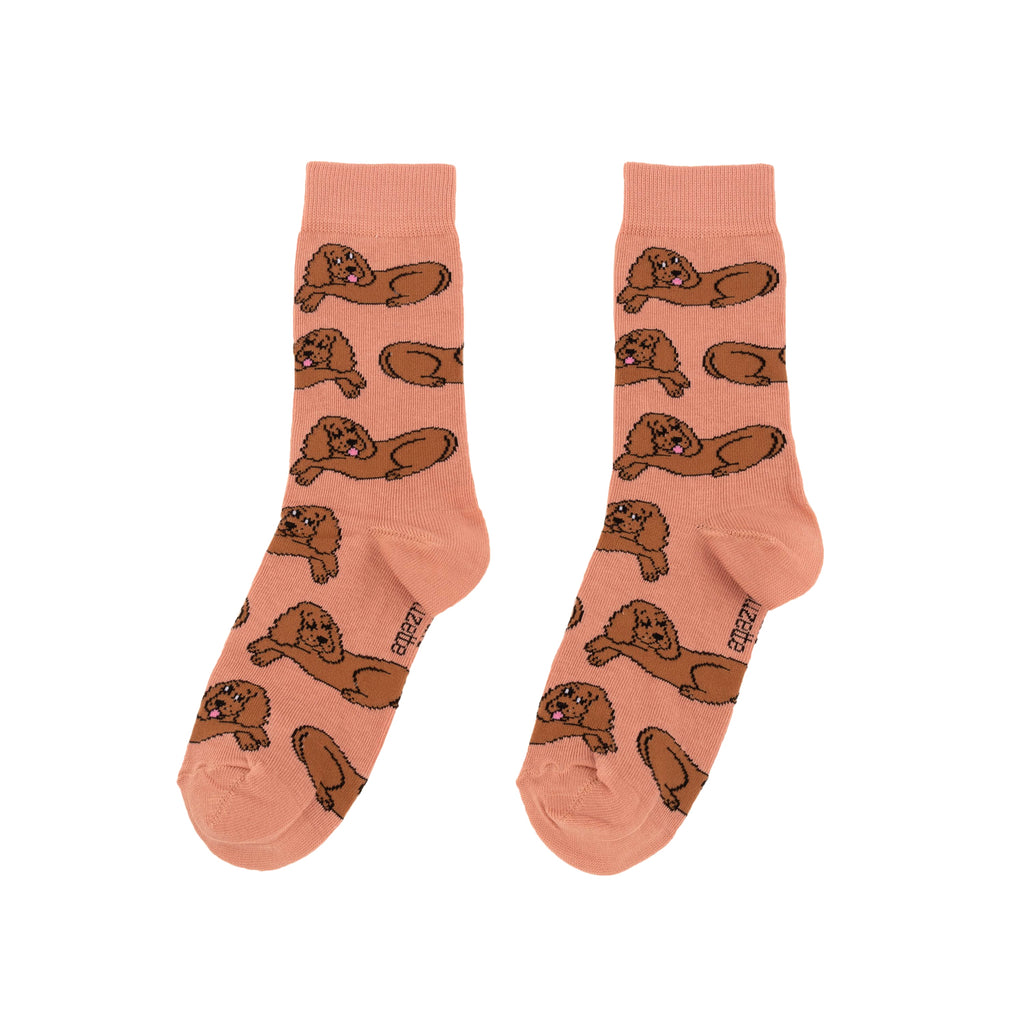 Chaussettes en coton Cocker - COUCOU SUZETTE