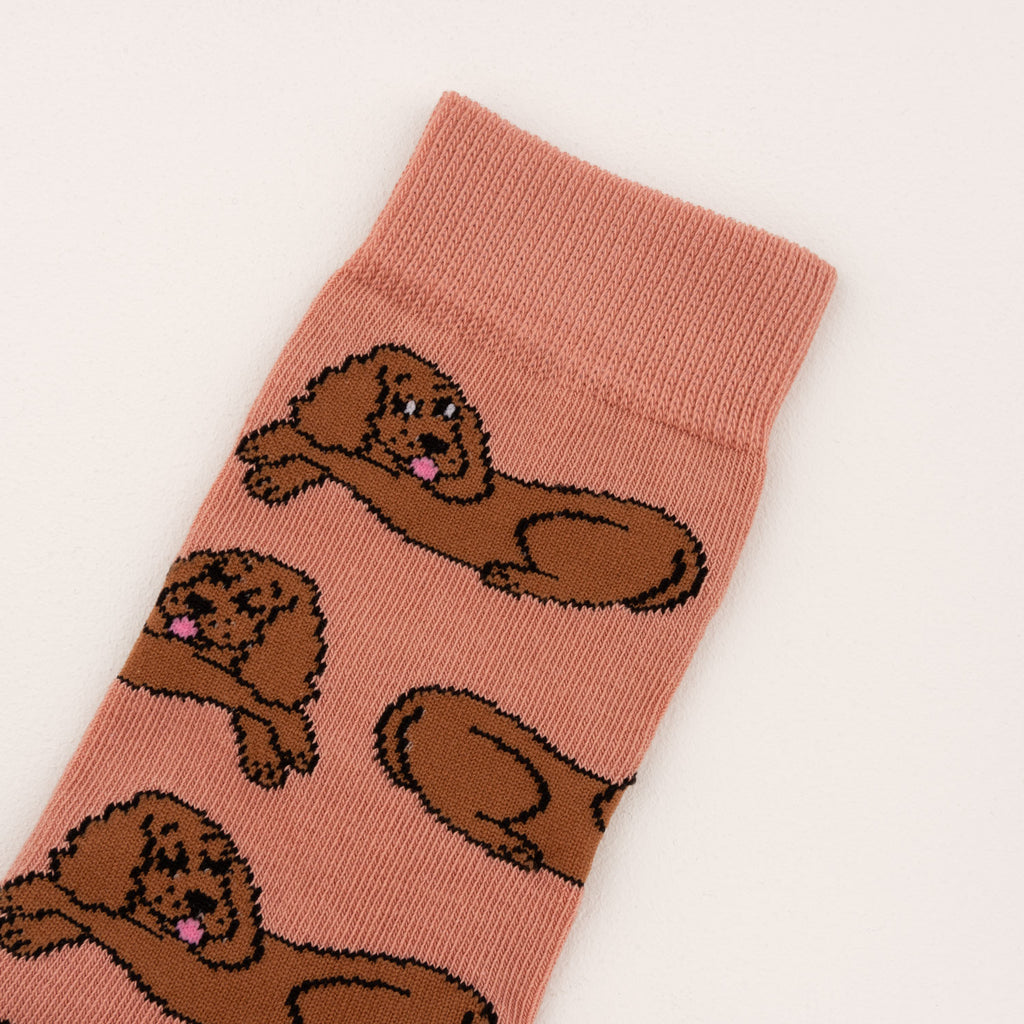 Chaussettes en coton Cocker - COUCOU SUZETTE