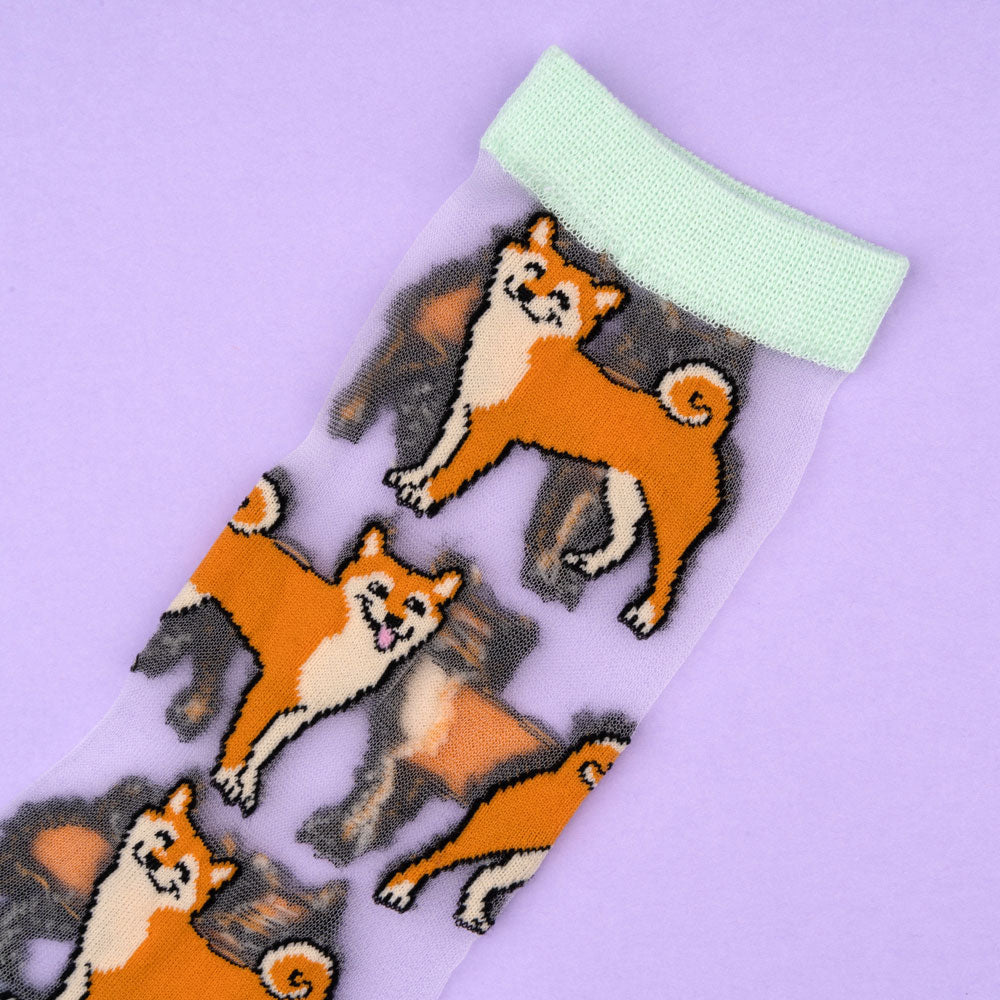 Chaussettes transparentes Shiba - COUCOU SUZETTE