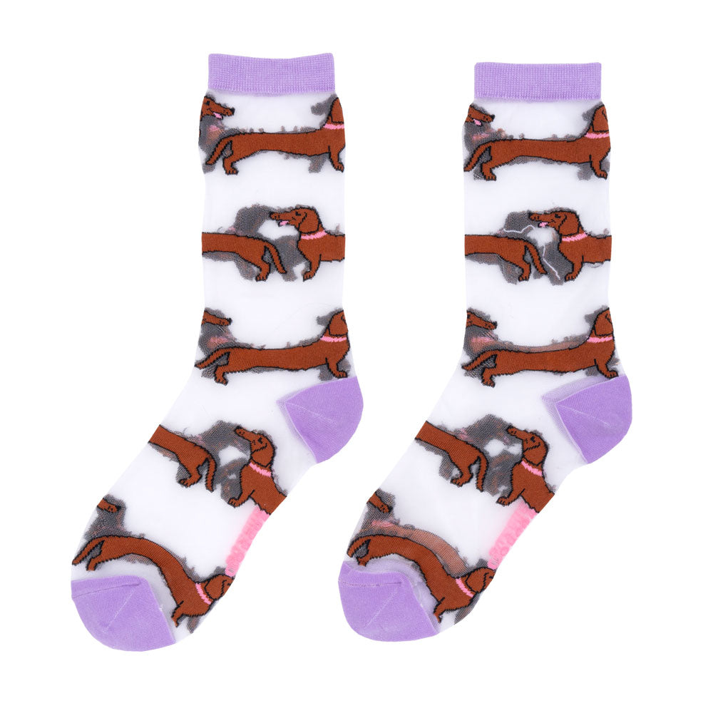 Chaussettes transparentes Teckel - COUCOU SUZETTE