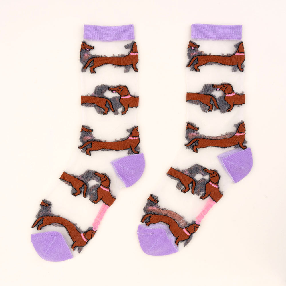 Chaussettes transparentes Teckel - COUCOU SUZETTE