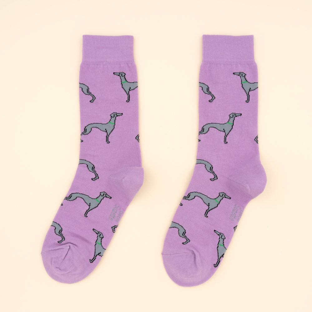 Chaussettes en coton lévrier - COUCOU SUZETTE
