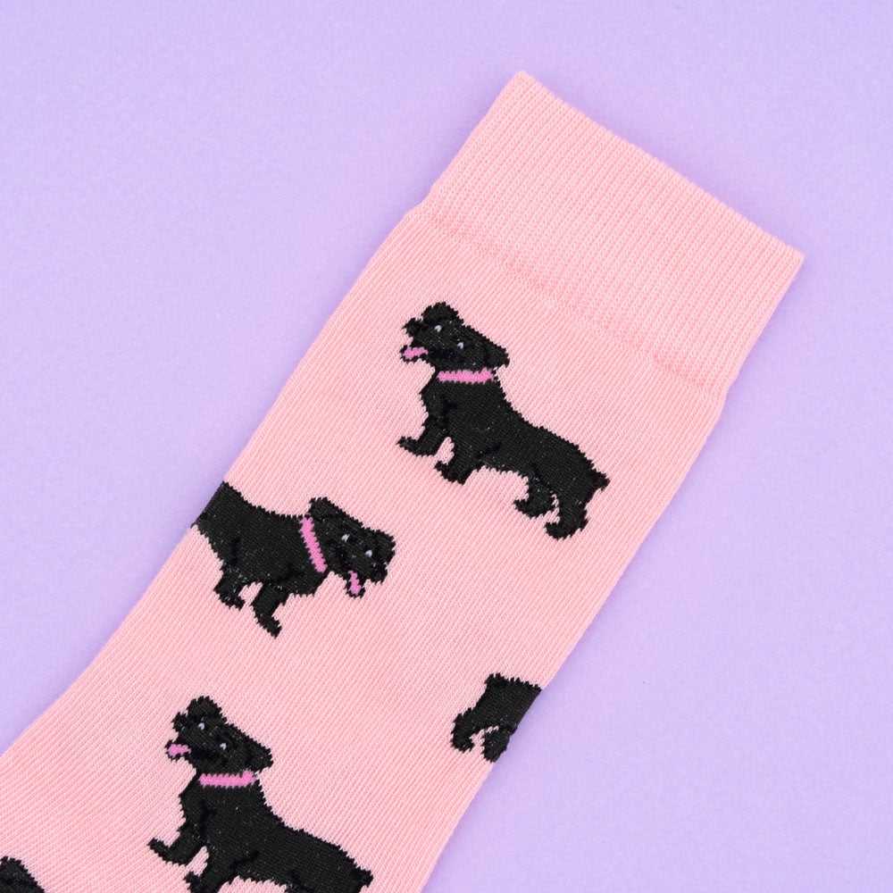 Staffie cotton socks - COUCOU SUZETTE