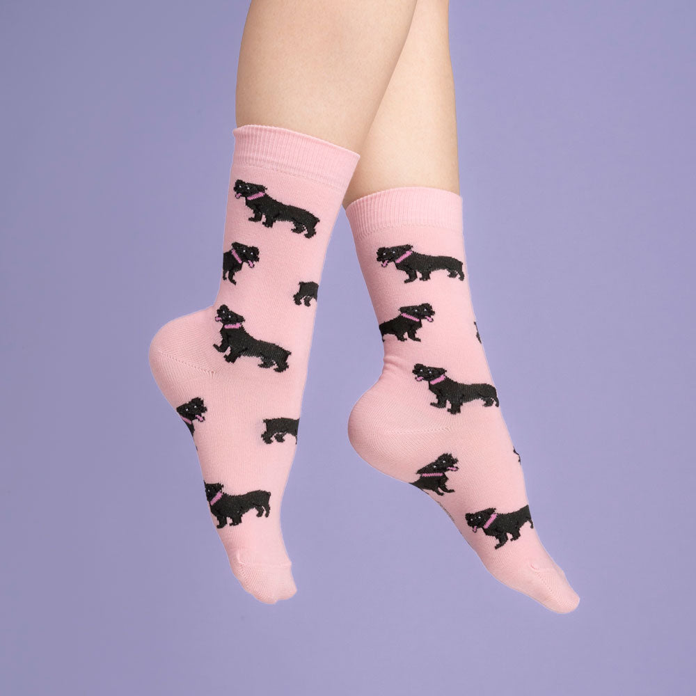 Staffie cotton socks - COUCOU SUZETTE