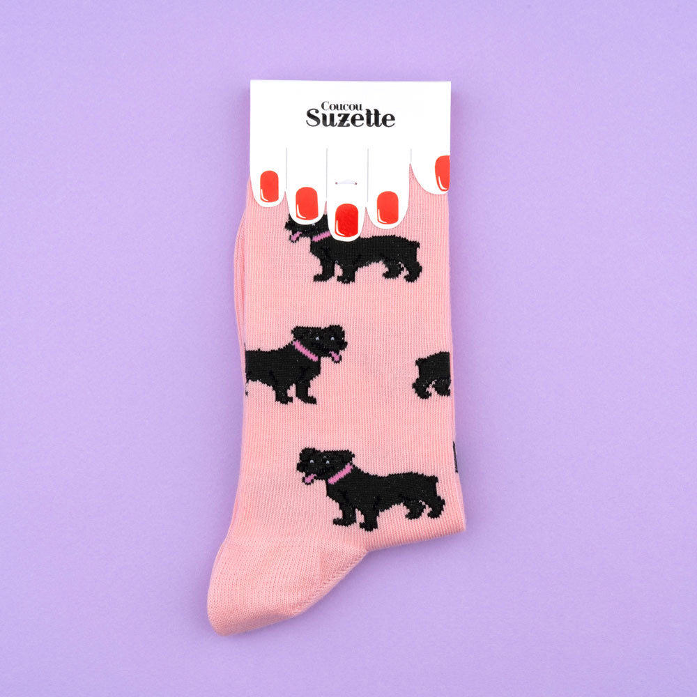 Staffie cotton socks - COUCOU SUZETTE