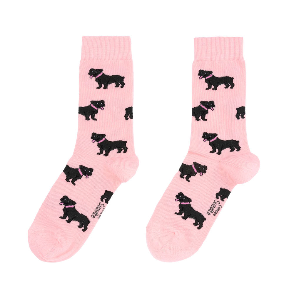 Staffie cotton socks - COUCOU SUZETTE