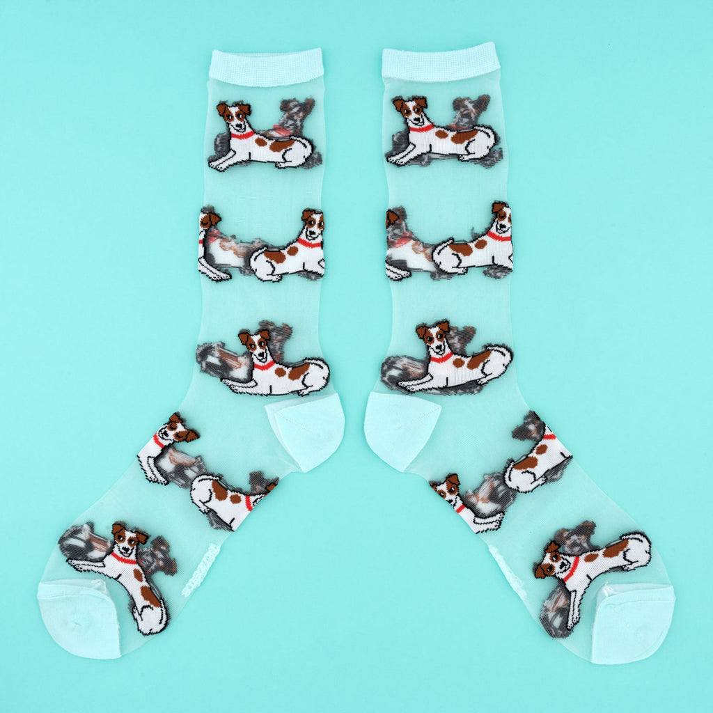 Chaussettes transparentes Jack Russell - COUCOU SUZETTE