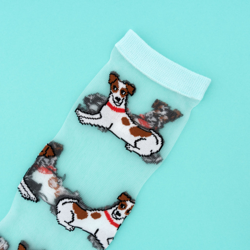 Chaussettes transparentes Jack Russell - COUCOU SUZETTE