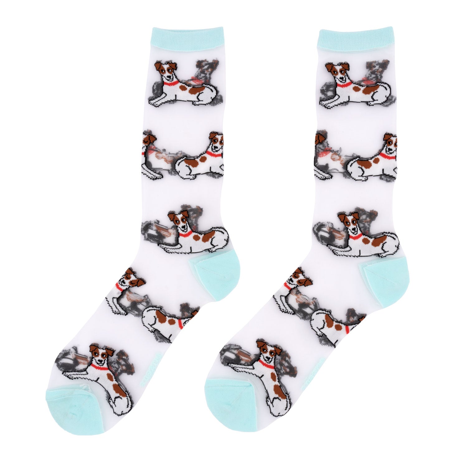 Chaussettes transparentes Jack Russell - COUCOU SUZETTE