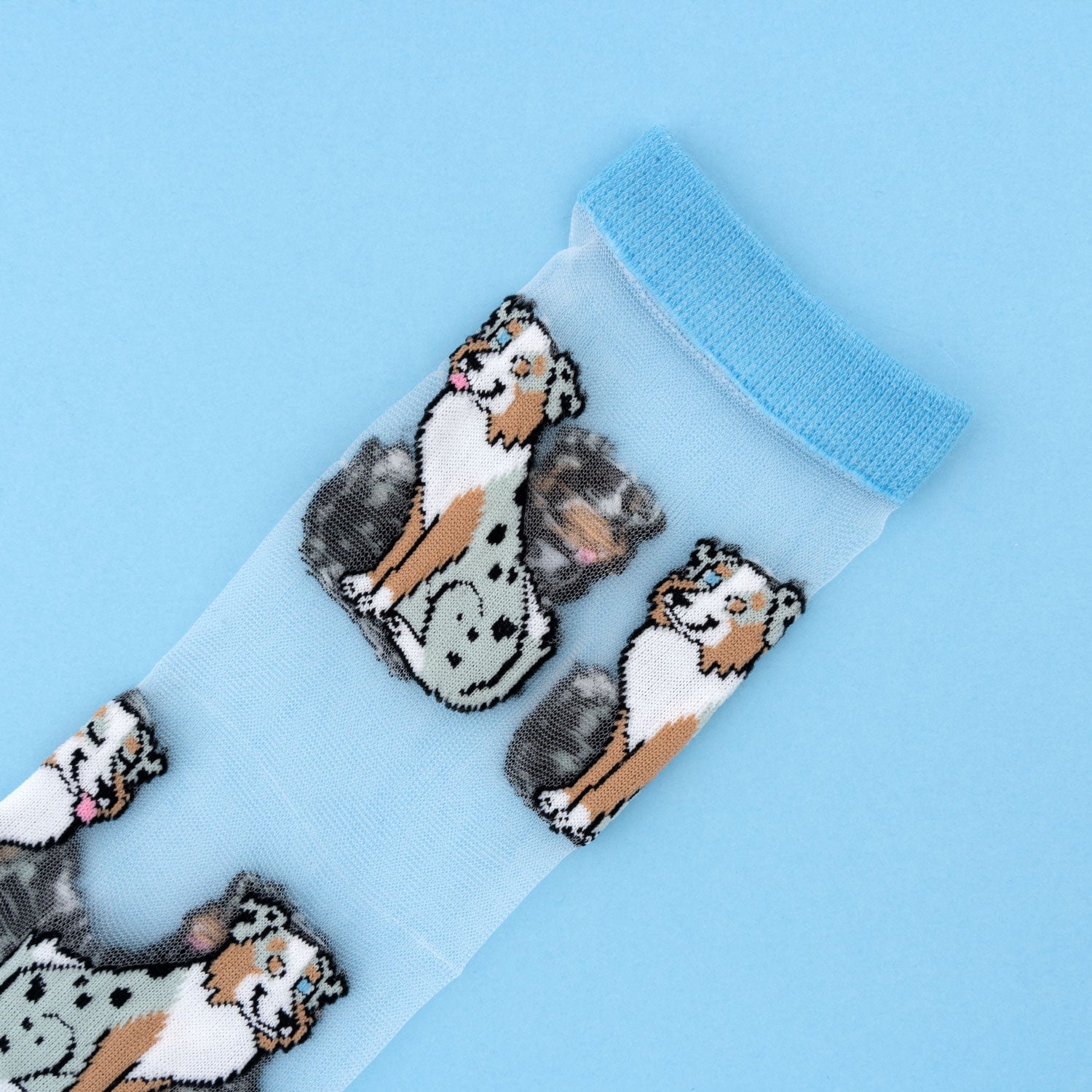 Chaussettes transparentes Berger Australien - COUCOU SUZETTE