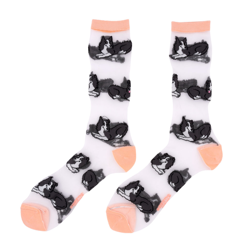 Border Collie Sheer Socks - COUCOU SUZETTE