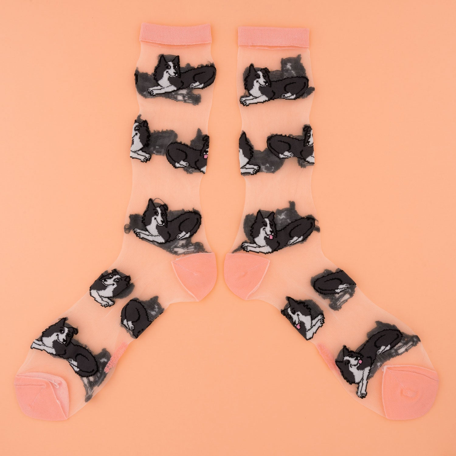 Border Collie Sheer Socks - COUCOU SUZETTE