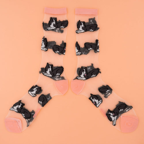 Chaussettes transparentes  Border Collie - COUCOU SUZETTE