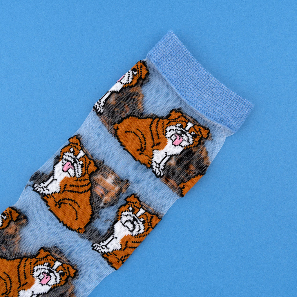 Chaussettes transparentes  Bouledogue Anglais - COUCOU SUZETTE