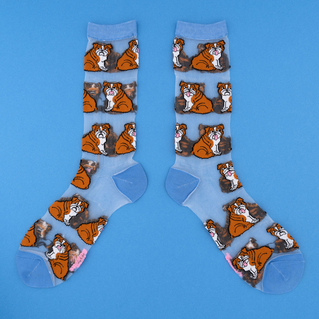 Chaussettes transparentes  Bouledogue Anglais - COUCOU SUZETTE