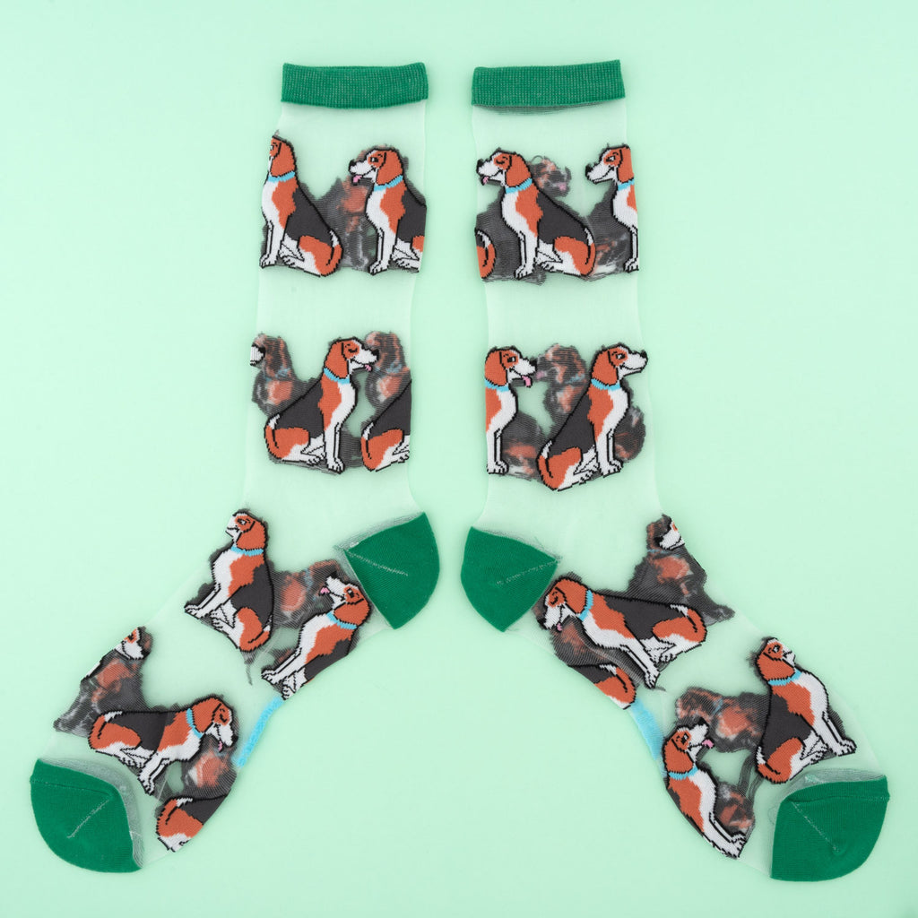Chaussettes transparentes Beagle - COUCOU SUZETTE