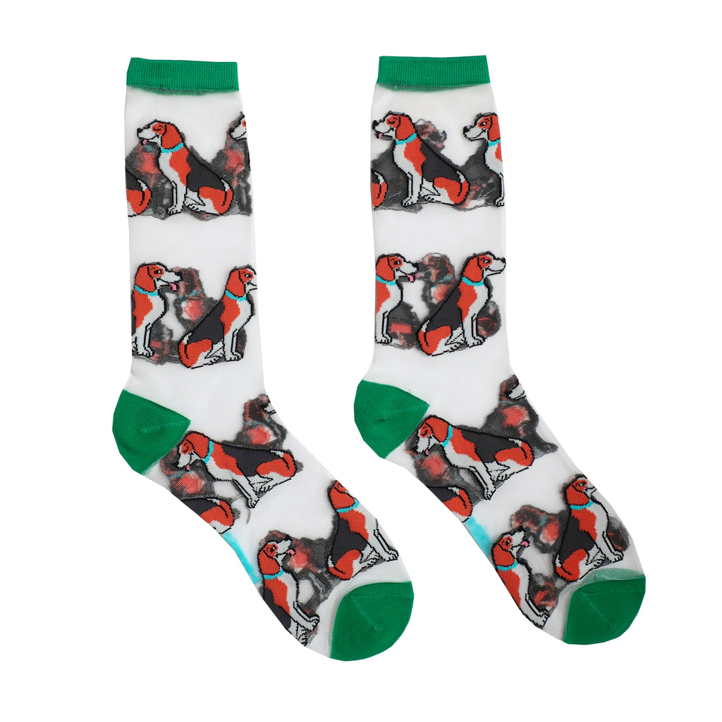 Chaussettes transparentes Beagle - COUCOU SUZETTE