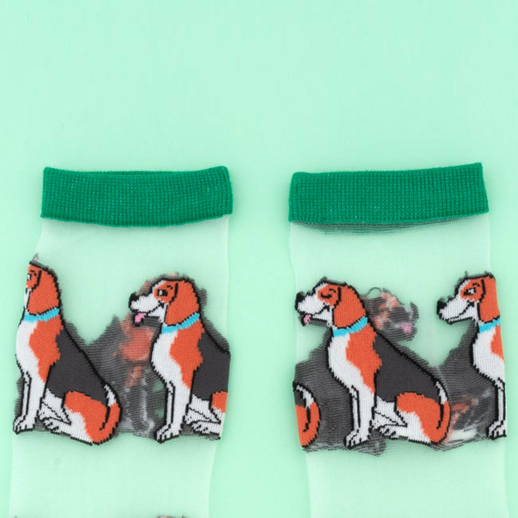 Chaussettes transparentes Beagle - COUCOU SUZETTE