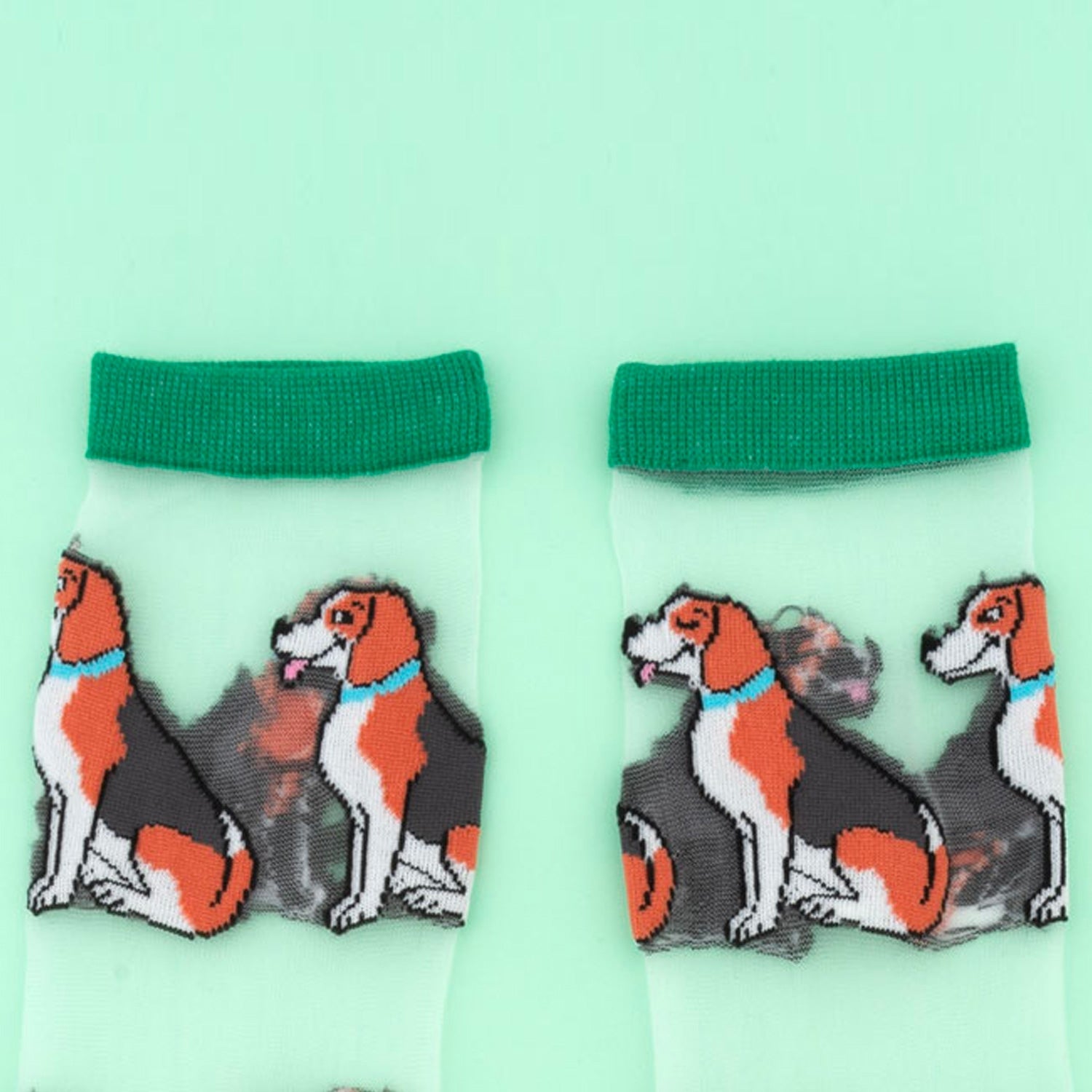 Chaussettes transparentes Beagle - COUCOU SUZETTE