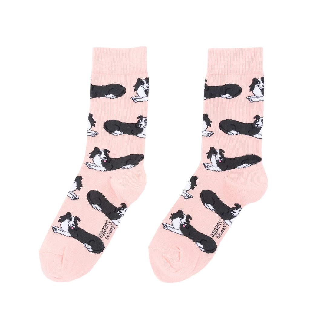 Chaussettes en coton Border Collie - COUCOU SUZETTE