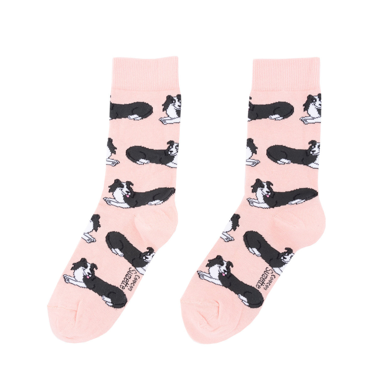 Chaussettes en coton Border Collie - COUCOU SUZETTE