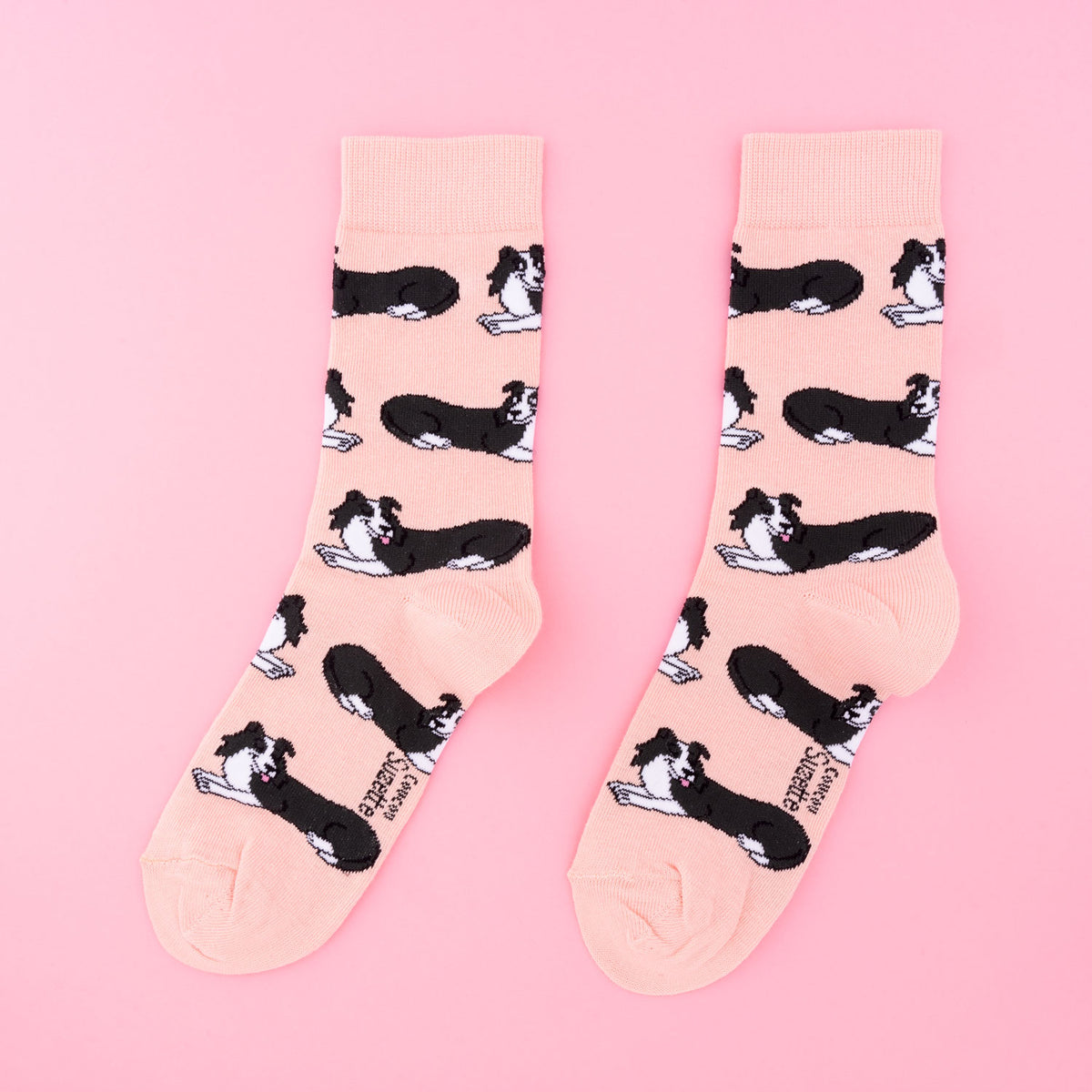 Chaussettes en coton Border Collie - COUCOU SUZETTE