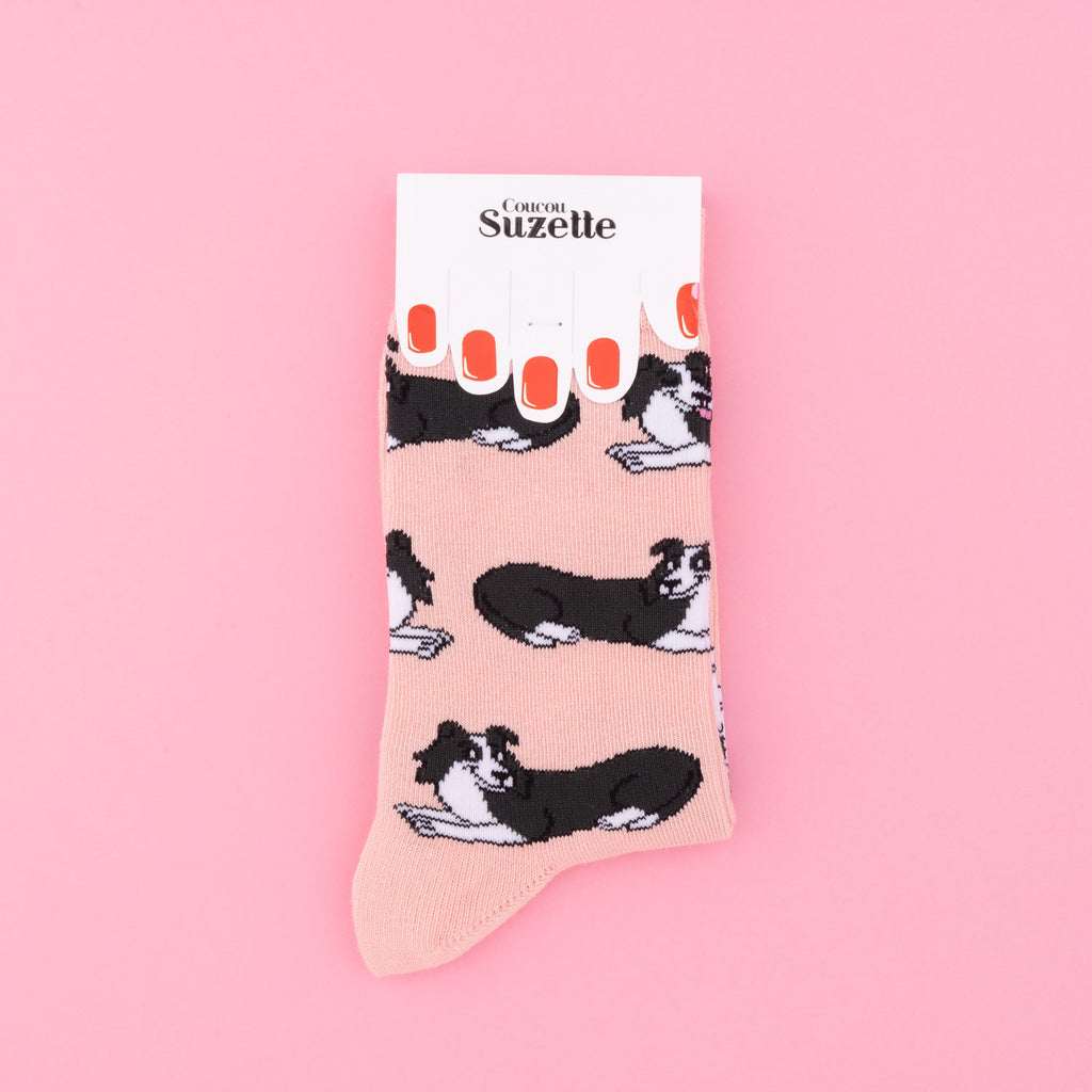 Chaussettes en coton Border Collie - COUCOU SUZETTE