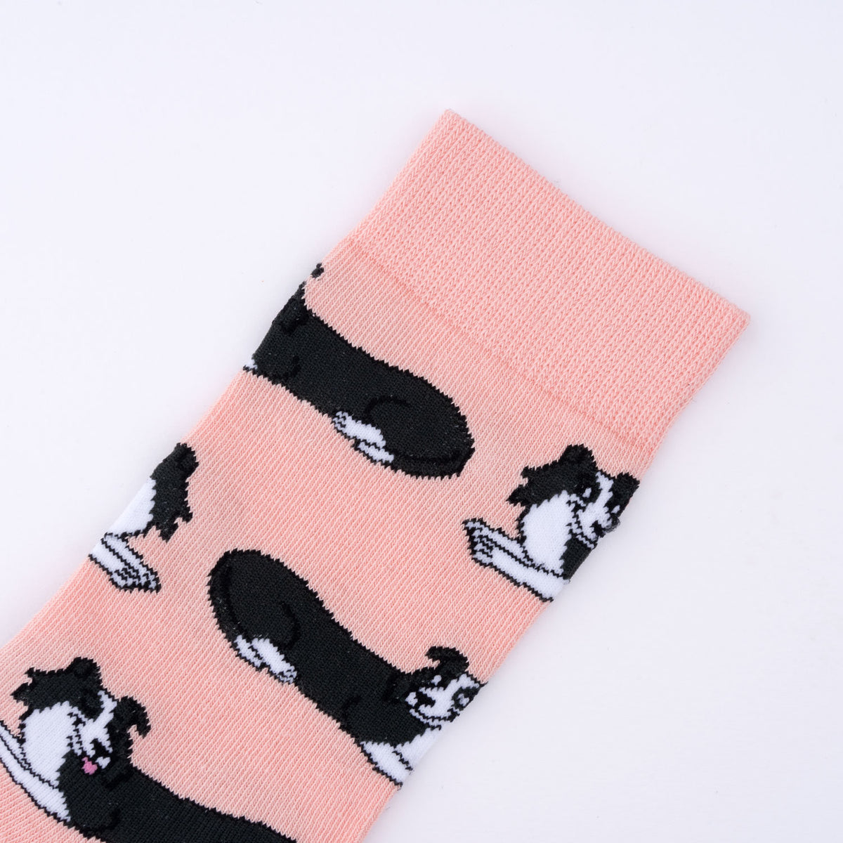 Chaussettes en coton Border Collie - COUCOU SUZETTE
