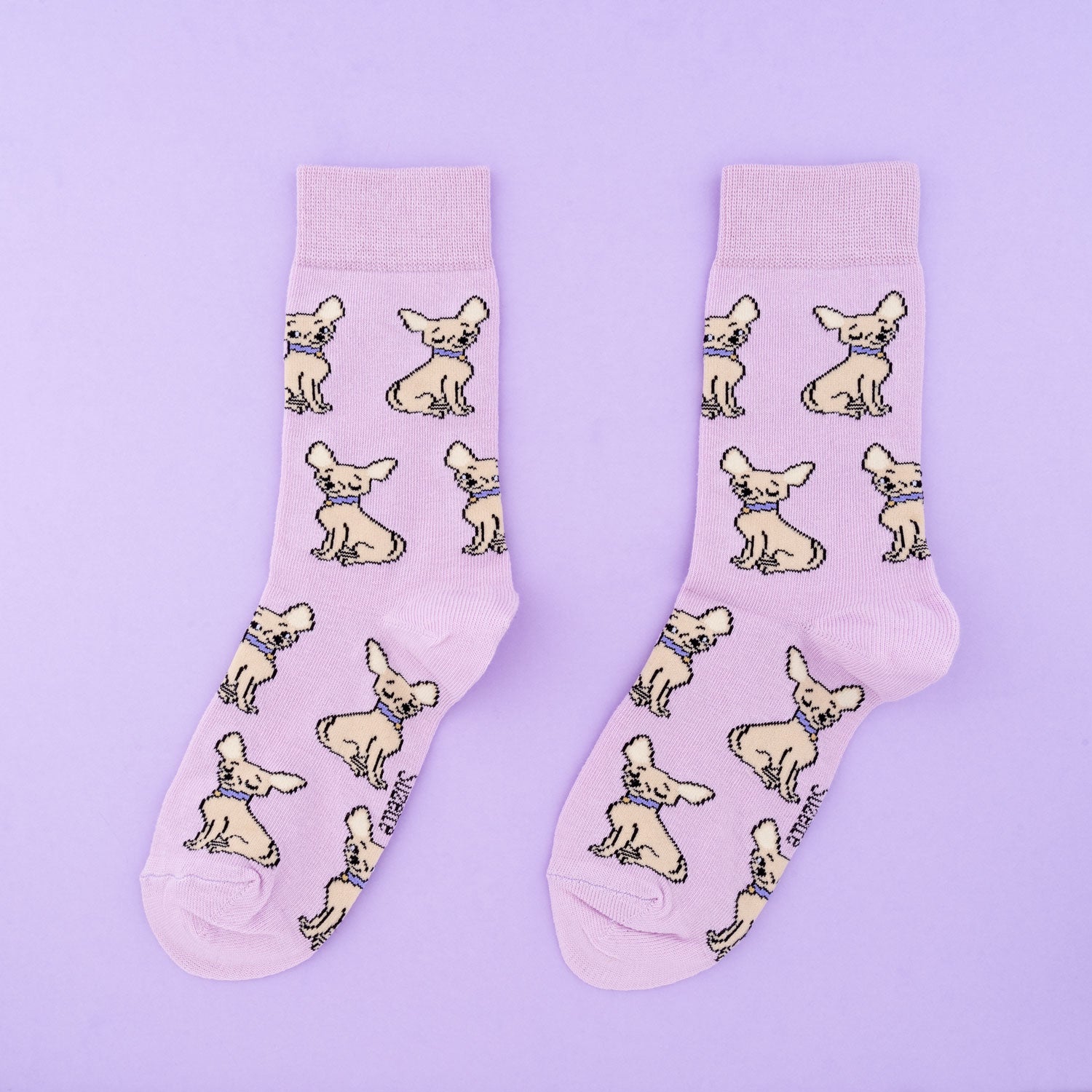 Chihuahua Cotton Socks - COUCOU SUZETTE