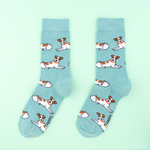 Chaussettes en coton Jack Russell - COUCOU SUZETTE