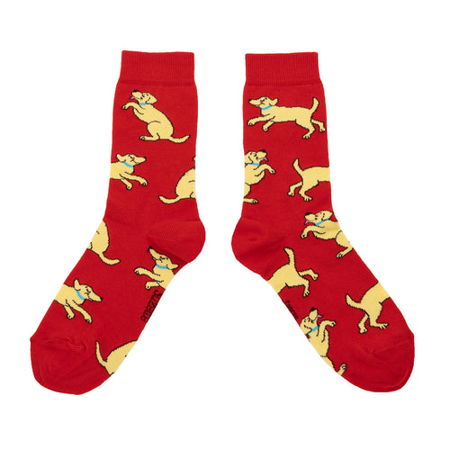 Chaussettes en coton Golden Retriever - COUCOU SUZETTE