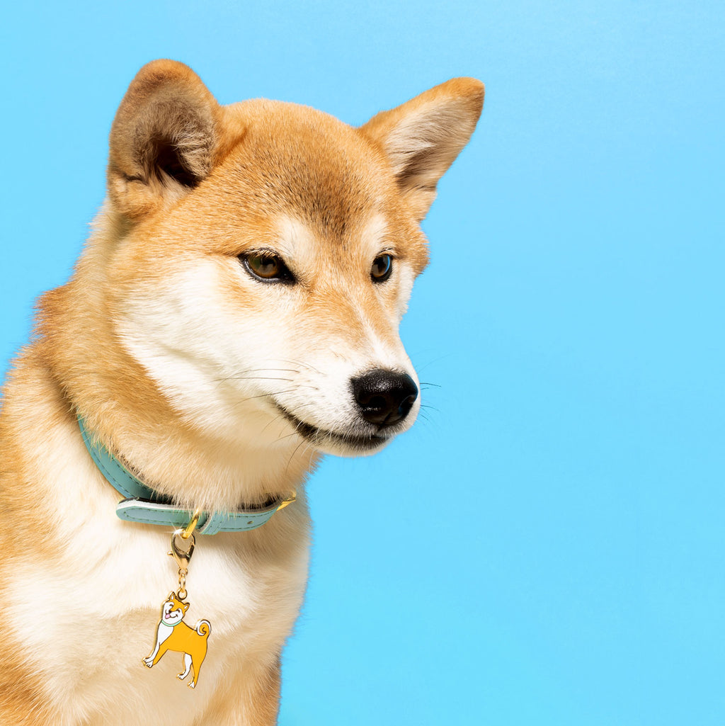 Médaille porte-clés Shiba - COUCOU SUZETTE