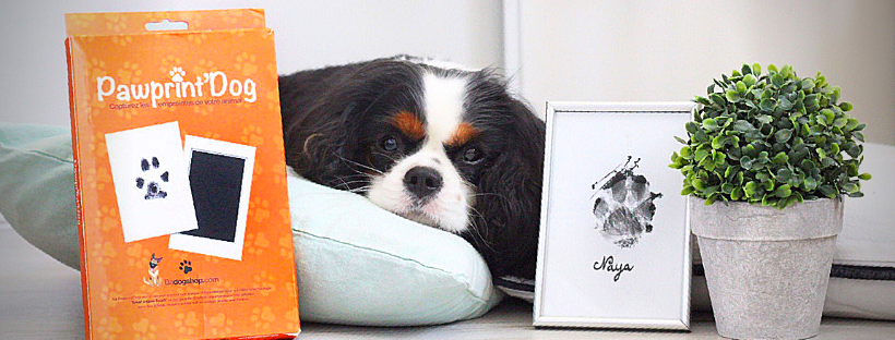 Pawprint - BADOGSHOP