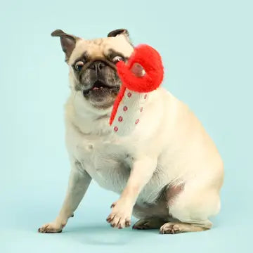 Jouet Poulpe en conserve - THE FURRYFOLKS