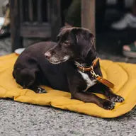 Travel Blanket - BAND &amp; ROLL