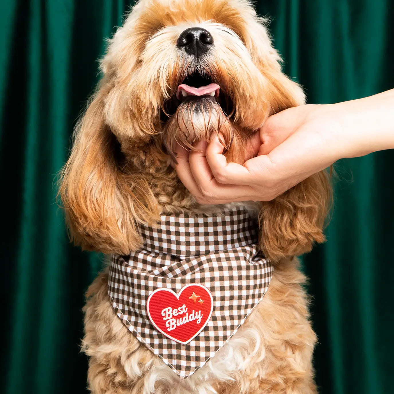 Badge de mérite BEST BUDDY - SCOUT'S HONOUR