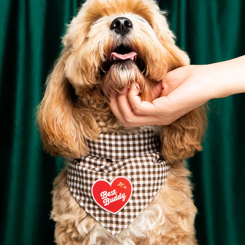 Badge de mérite BEST BUDDY - SCOUT'S HONOUR