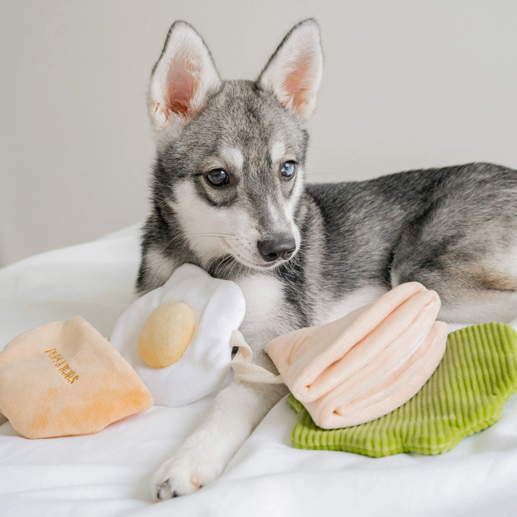 Jouet Pita - PUP'S & BUBS
