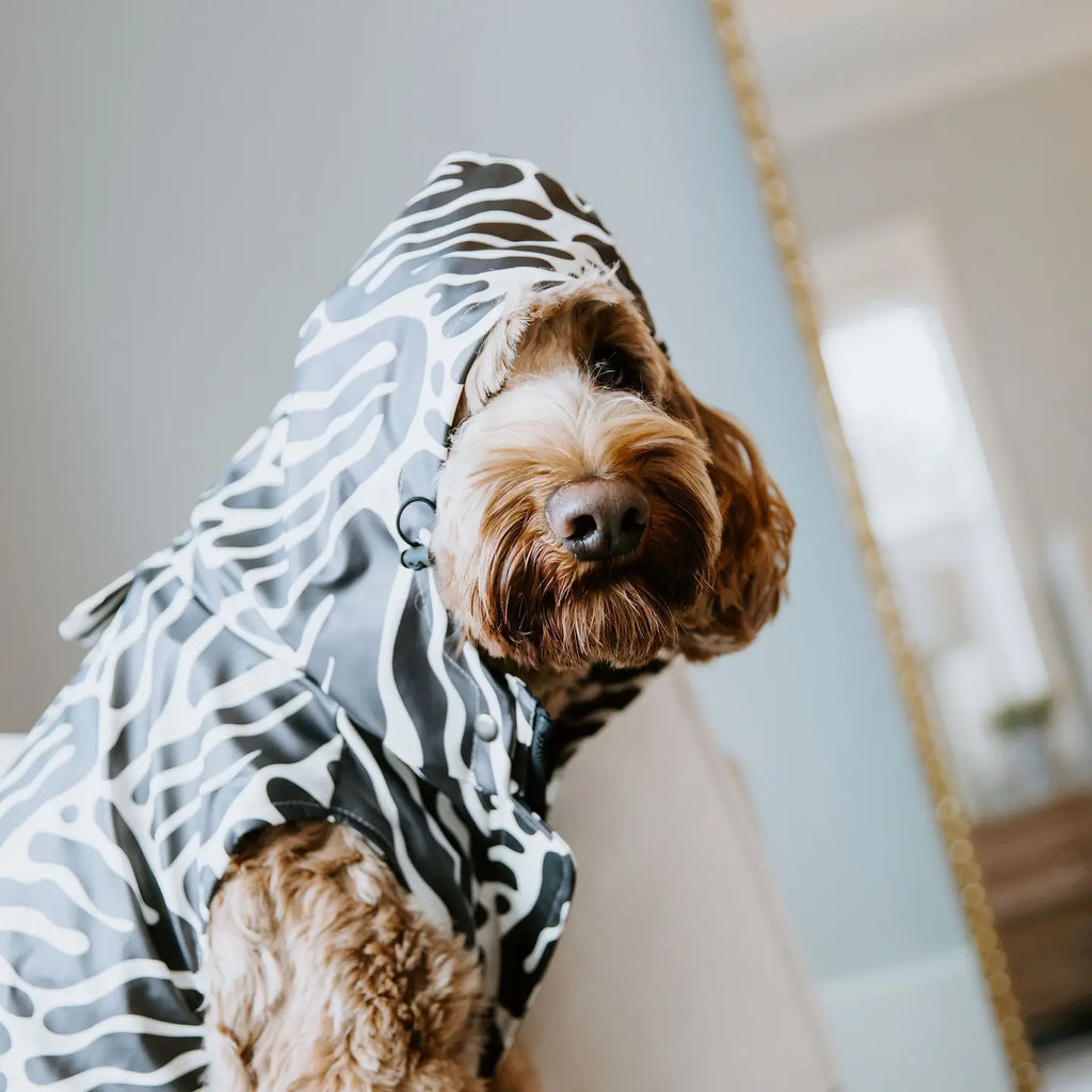 Abstract pattern rain jacket - STELLA &amp; OSCAR