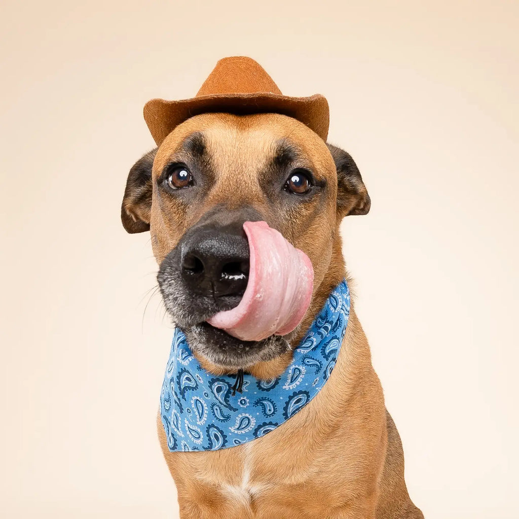 Bandana West Dog - THE PAWS