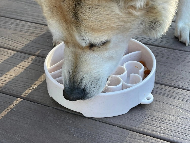 JAVA Enrichment Bowl for Slow Feeding - SODA PUP