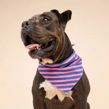 Bandana Pacific Stripe - THE PAWS