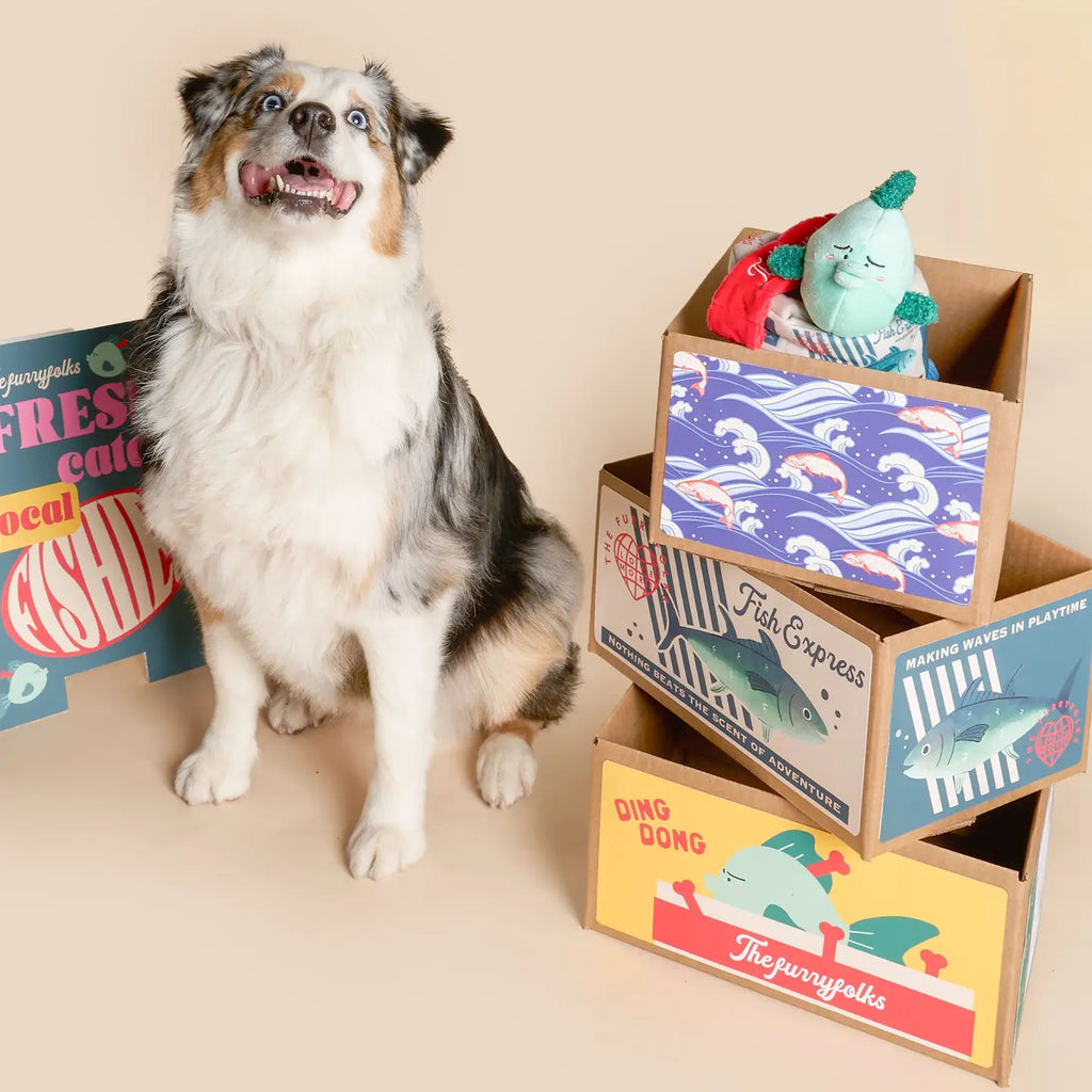 Jouet Fish Express - THE FURRYFOLKS