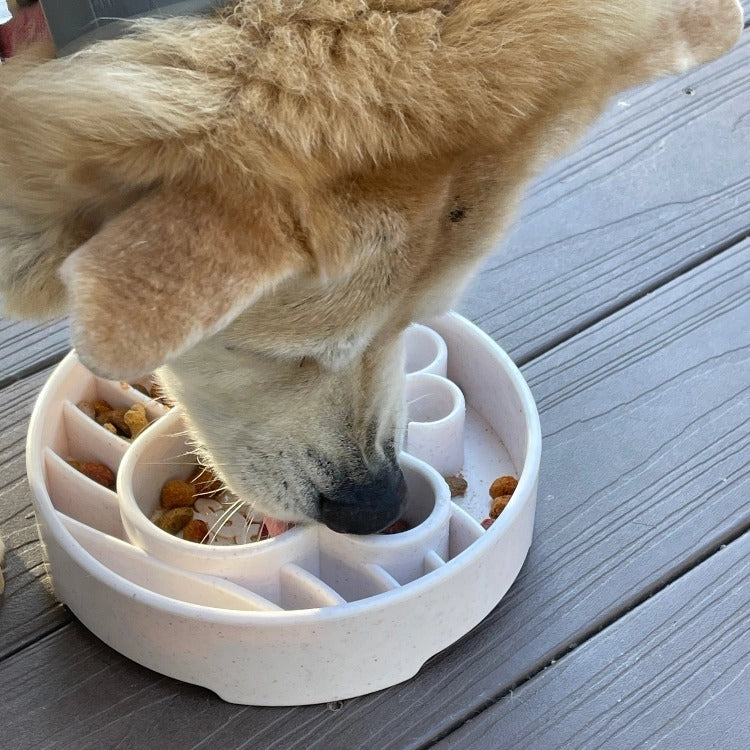 JAVA Enrichment Bowl for Slow Feeding - SODA PUP